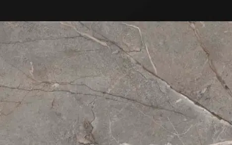Silver Root yüzey görseli