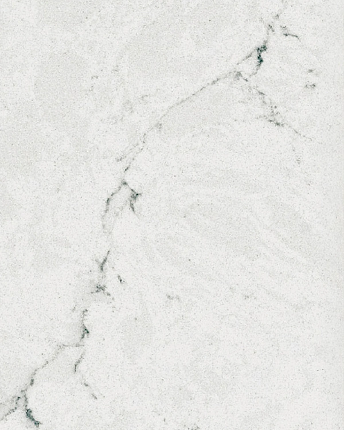 Calacatta Edera