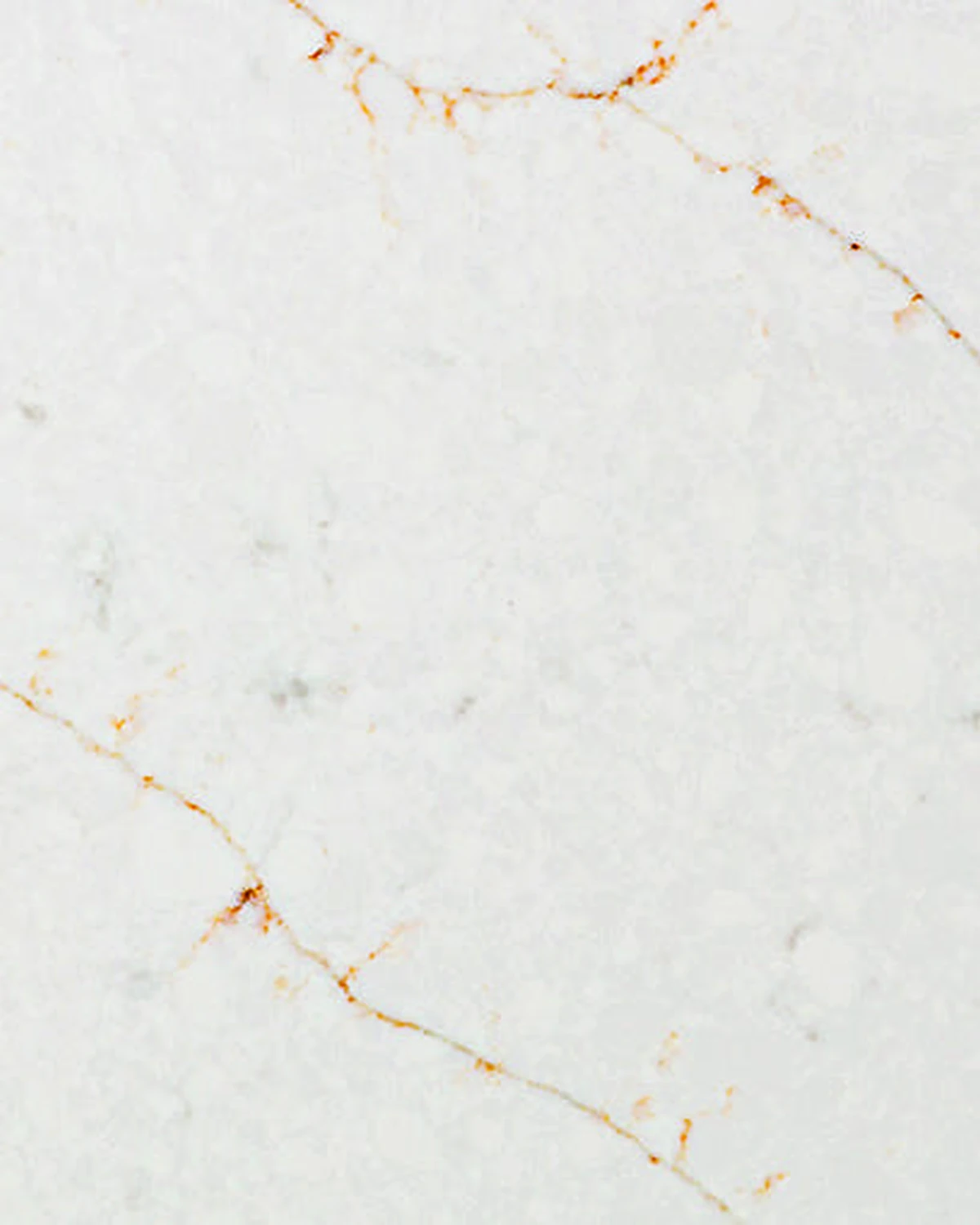 Calacatta Vivaldi Gold