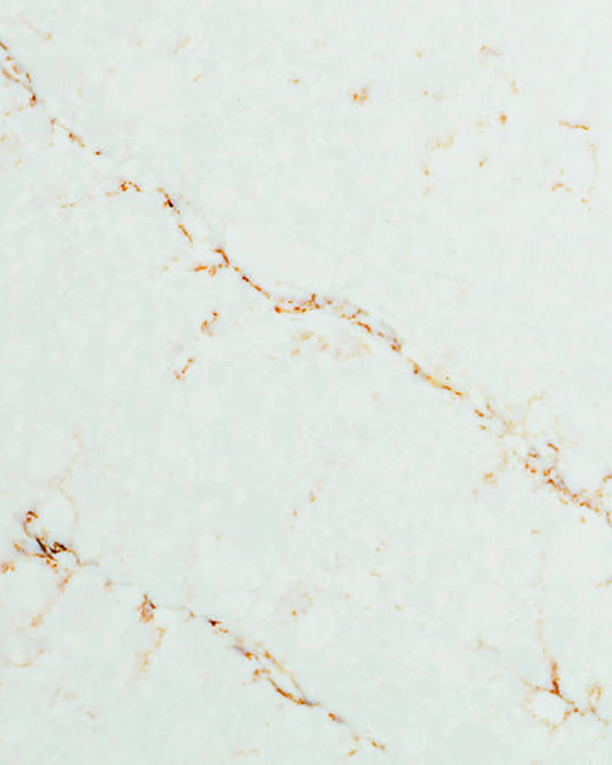 Calacatta Aurora Gold